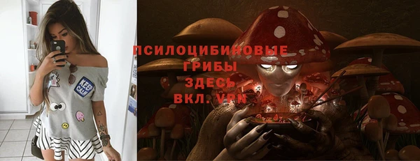 соль ск Гусев