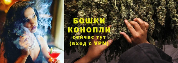 прущая мука Горняк