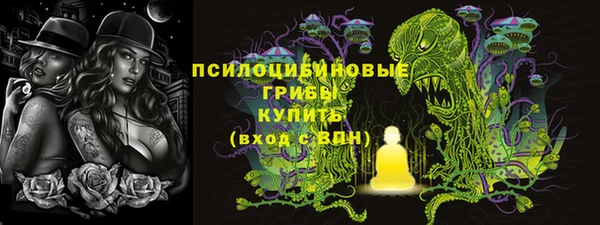 прущая мука Горняк